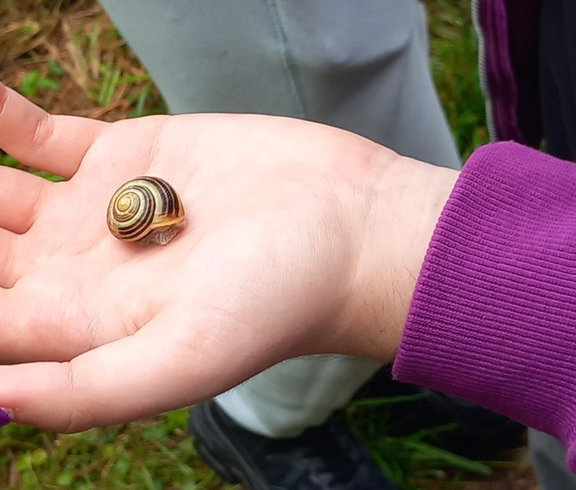 Schüler*in entdeckt eine Schnecke und hält diese in der Hand