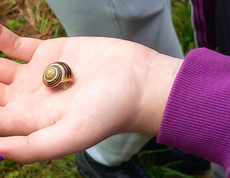Schüler*in entdeckt eine Schnecke und hält diese in der Hand